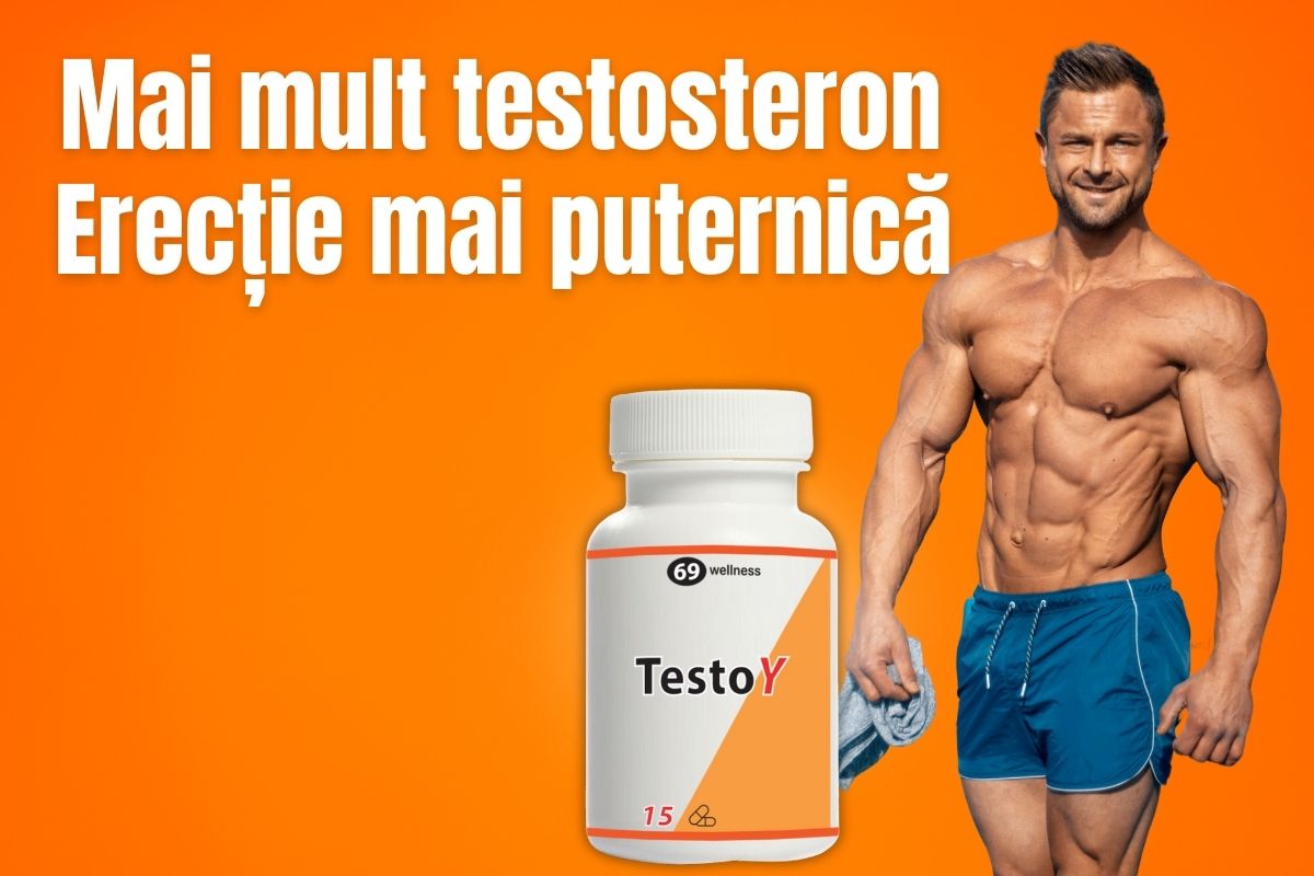 Testoy Banner